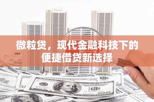 呼玛微粒贷，现代金融科技下的便捷借贷新选择
