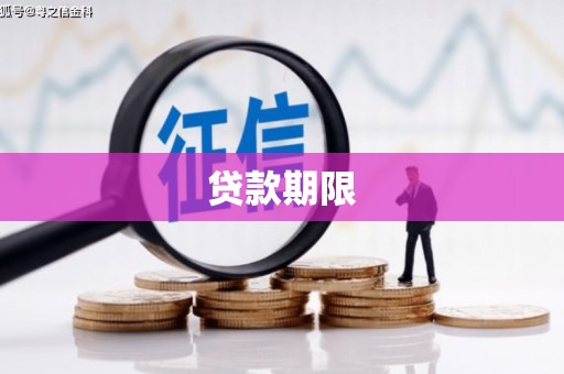 呼玛贷款期限