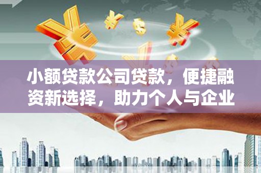 呼玛小额贷款公司贷款，便捷融资新选择，助力个人与企业成长