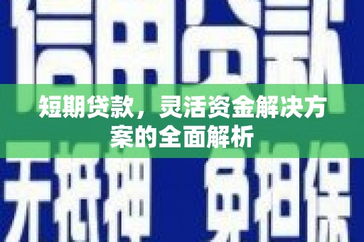 呼玛短期贷款，灵活资金解决方案的全面解析
