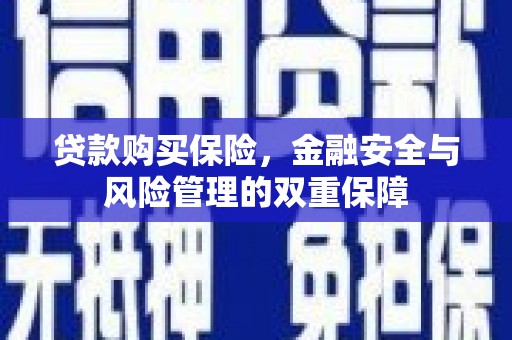 呼玛贷款购买保险，金融安全与风险管理的双重保障