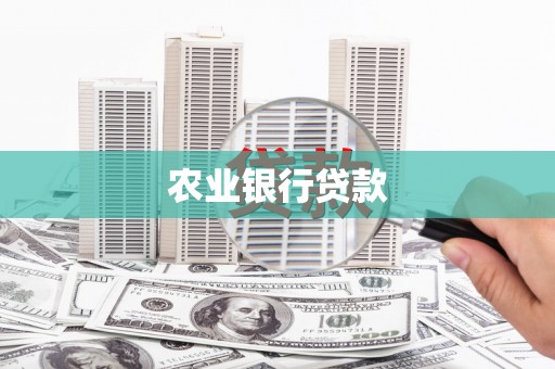 呼玛农业银行贷款