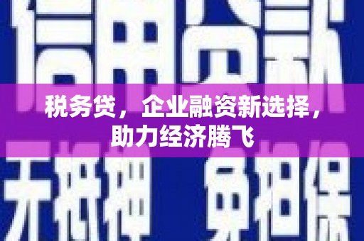 呼玛税务贷，企业融资新选择，助力经济腾飞