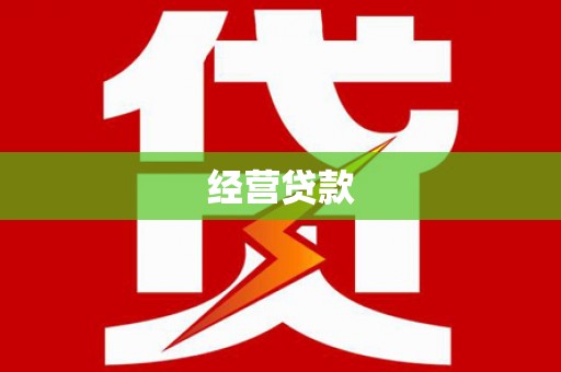 呼玛经营贷款