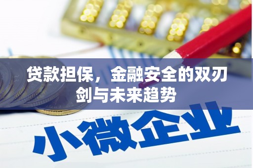 呼玛贷款担保，金融安全的双刃剑与未来趋势