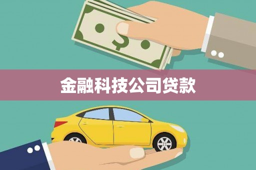呼玛金融科技公司贷款