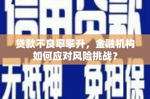 呼玛贷款不良率攀升，金融机构如何应对风险挑战？