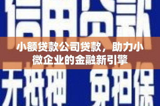 呼玛小额贷款公司贷款，助力小微企业的金融新引擎