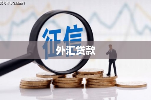 呼玛外汇贷款