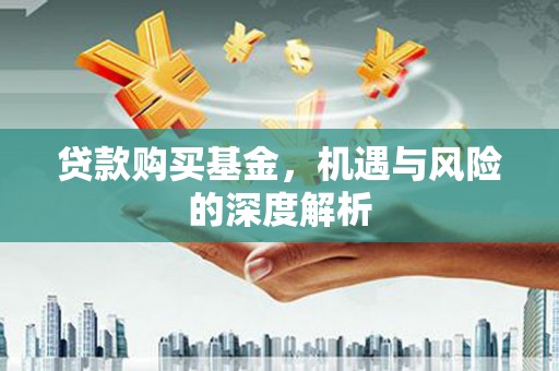 呼玛贷款购买基金，机遇与风险的深度解析