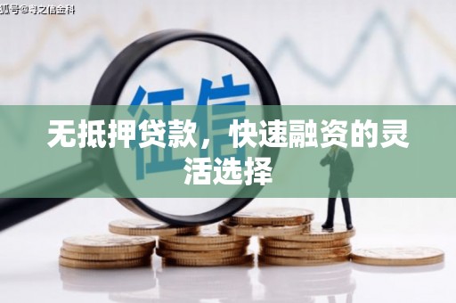 呼玛无抵押贷款，快速融资的灵活选择