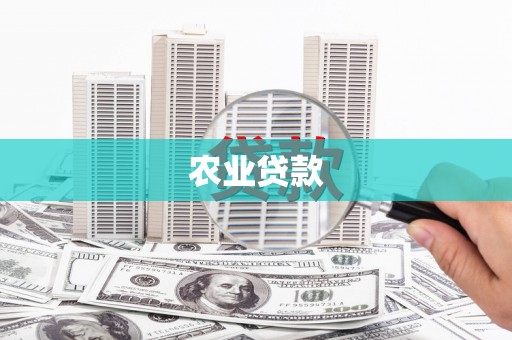 呼玛农业贷款