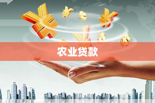 呼玛农业贷款