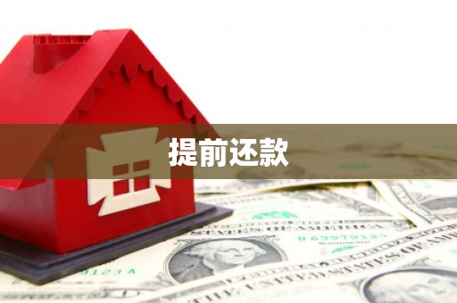 呼玛提前还款