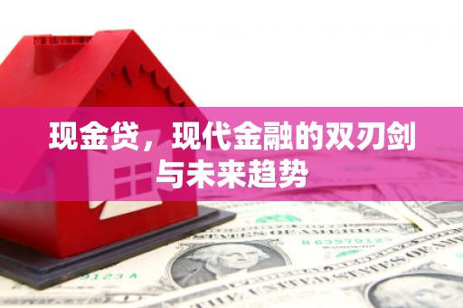 呼玛现金贷，现代金融的双刃剑与未来趋势
