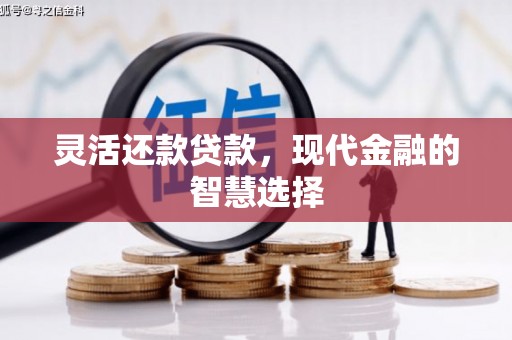 呼玛灵活还款贷款，现代金融的智慧选择