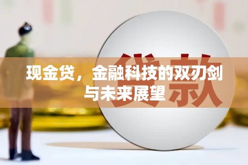 呼玛现金贷，金融科技的双刃剑与未来展望