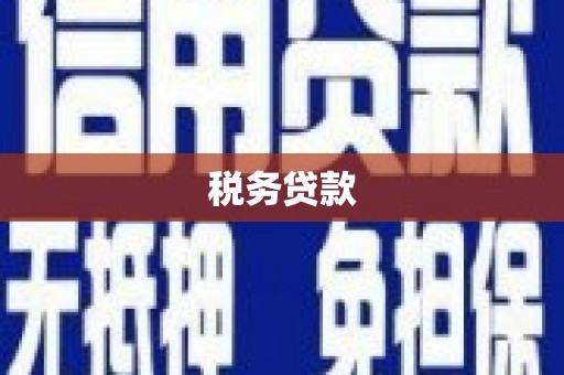 呼玛税务贷款