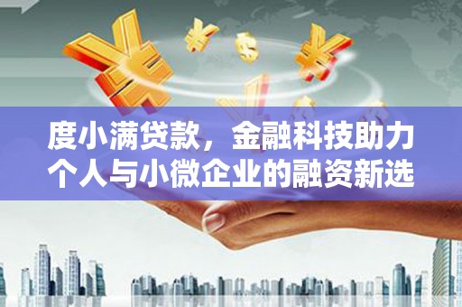 呼玛度小满贷款，金融科技助力个人与小微企业的融资新选择