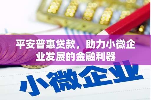 呼玛平安普惠贷款，助力小微企业发展的金融利器