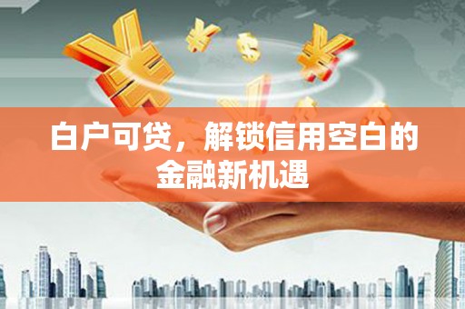 呼玛白户可贷，解锁信用空白的金融新机遇