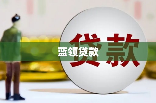 呼玛蓝领贷款