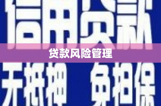 呼玛贷款风险管理