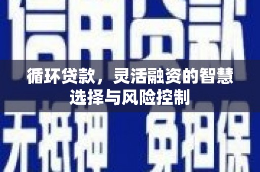 呼玛循环贷款，灵活融资的智慧选择与风险控制