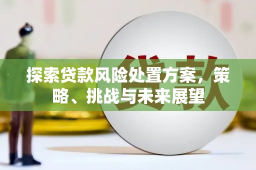 呼玛探索贷款风险处置方案，策略、挑战与未来展望