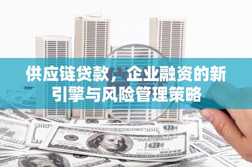 呼玛供应链贷款，企业融资的新引擎与风险管理策略