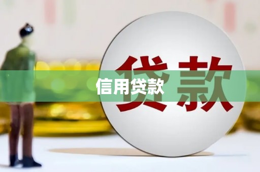 呼玛信用贷款