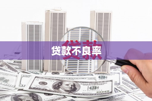 呼玛贷款不良率
