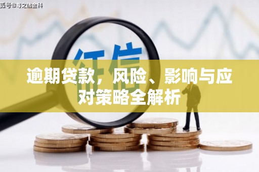 呼玛逾期贷款，风险、影响与应对策略全解析