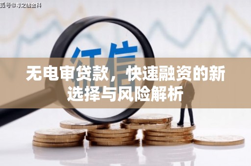呼玛无电审贷款，快速融资的新选择与风险解析