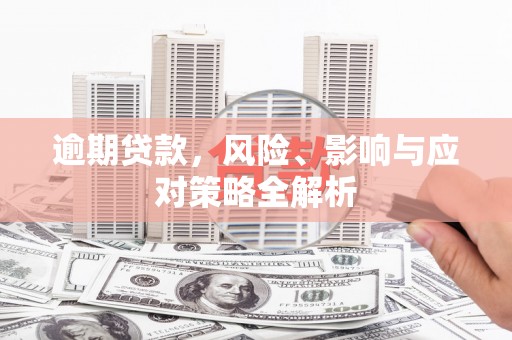 呼玛逾期贷款，风险、影响与应对策略全解析