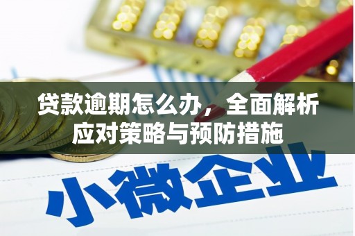 呼玛贷款逾期怎么办，全面解析应对策略与预防措施