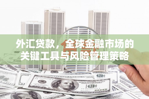 呼玛外汇贷款，全球金融市场的关键工具与风险管理策略