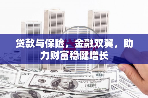 呼玛贷款与保险，金融双翼，助力财富稳健增长