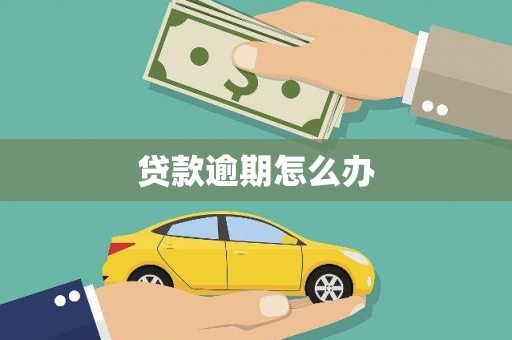 呼玛贷款逾期怎么办