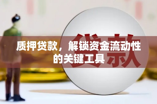 呼玛质押贷款，解锁资金流动性的关键工具