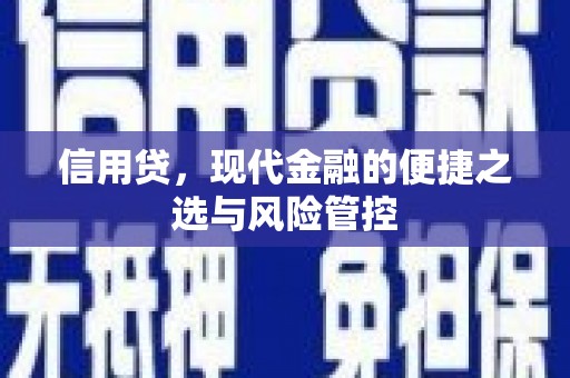 呼玛信用贷，现代金融的便捷之选与风险管控