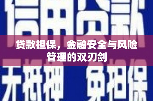 呼玛贷款担保，金融安全与风险管理的双刃剑