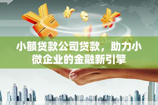 呼玛小额贷款公司贷款，助力小微企业的金融新引擎