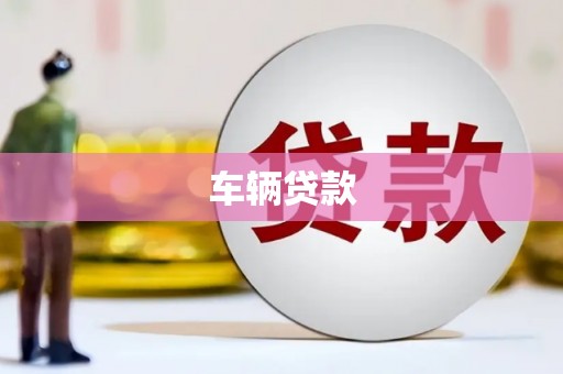 呼玛车辆贷款