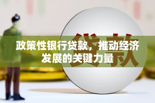 呼玛政策性银行贷款，推动经济发展的关键力量
