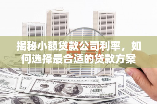 呼玛揭秘小额贷款公司利率，如何选择最合适的贷款方案