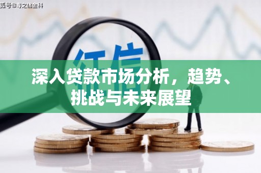 呼玛深入贷款市场分析，趋势、挑战与未来展望