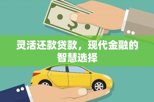 呼玛灵活还款贷款，现代金融的智慧选择