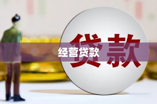 呼玛经营贷款