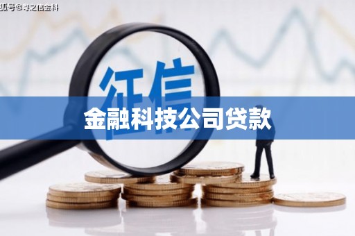 呼玛金融科技公司贷款